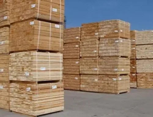 Best Wood Materials for Outdoor Applications