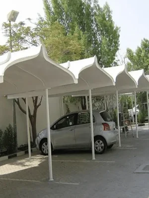 canopy (4)